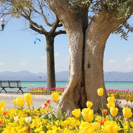 Apartamento Front Bardolino