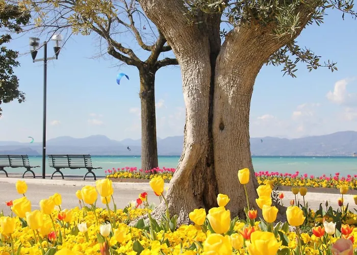 Apartment Front Bardolino